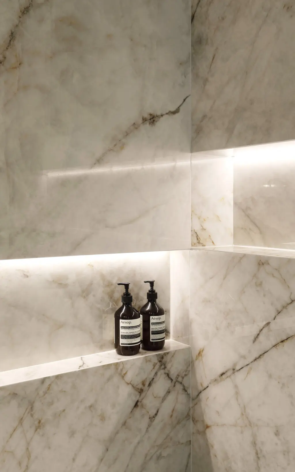 Shower niche with aesop Interiors