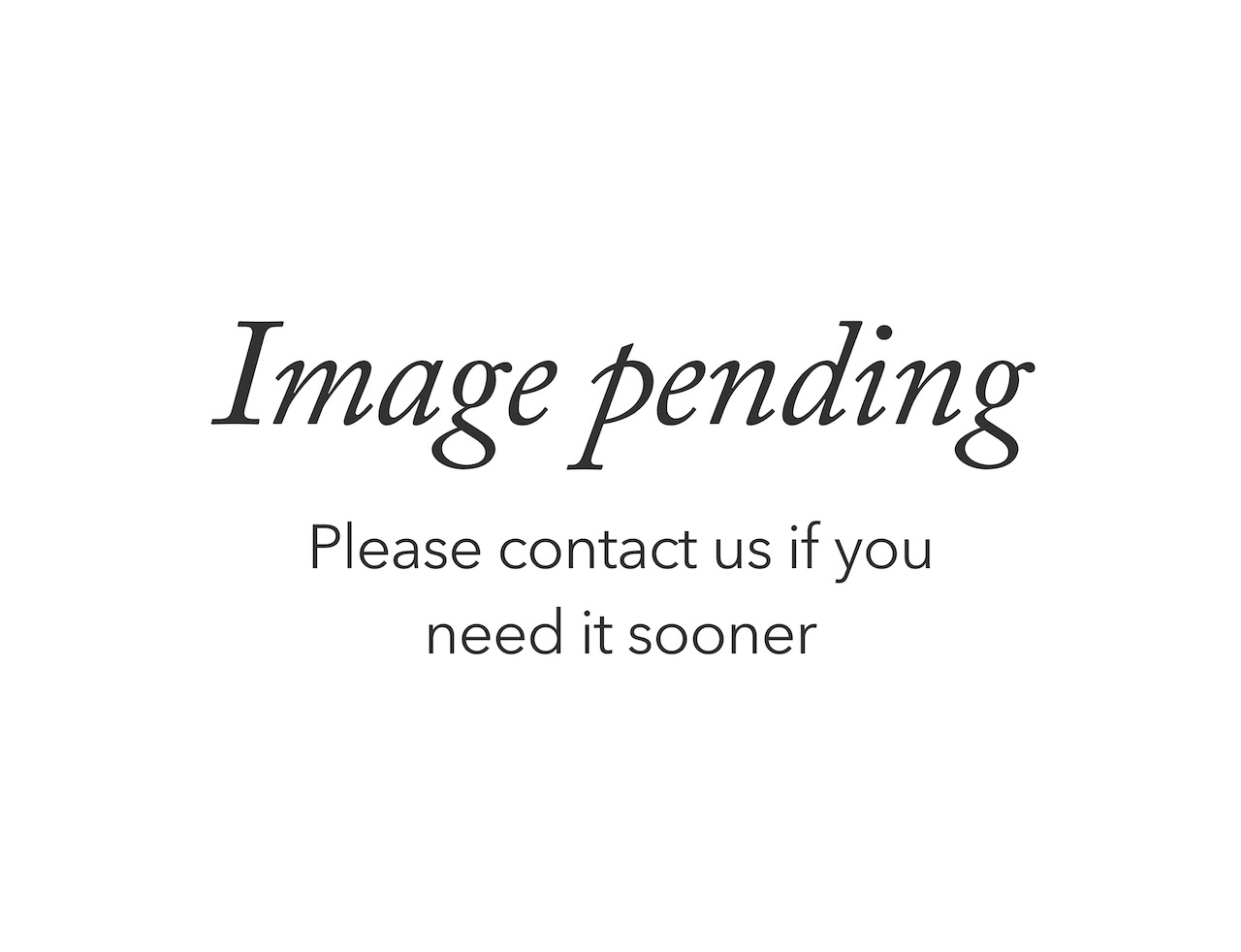 Image pending - please contact us if you need it sooner