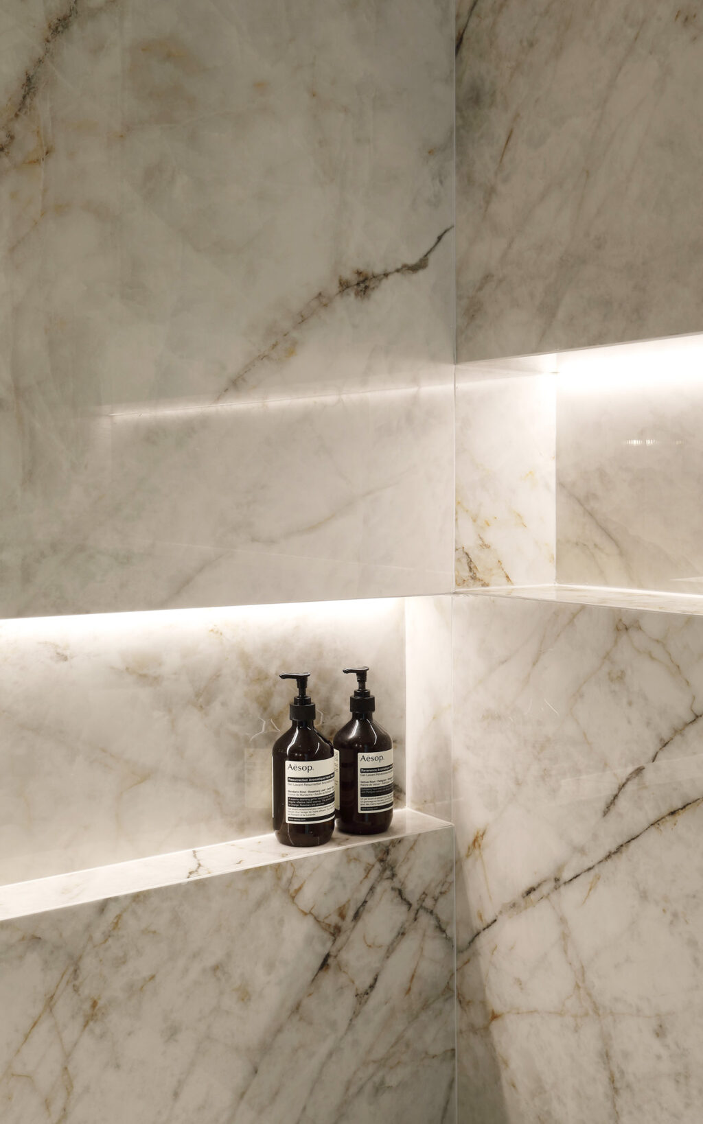 Shower niche with aesop Interiors